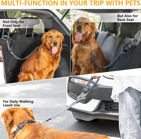 Two-in-one Nylon Adjustable Dogs Harness