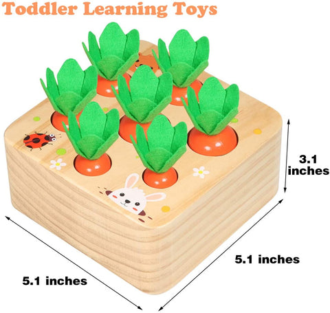 Montessori Pull Carrot Set Wooden Toy