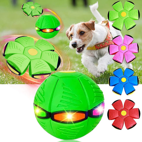 2023 New Pet Magic Flying Saucer Ball Toys