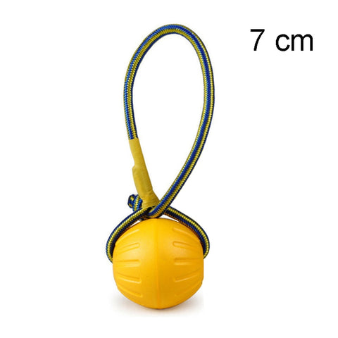 Dog Flying Disc & Ring Puller Toys