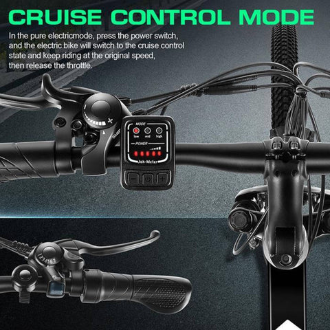 New 500W Electric Bike
