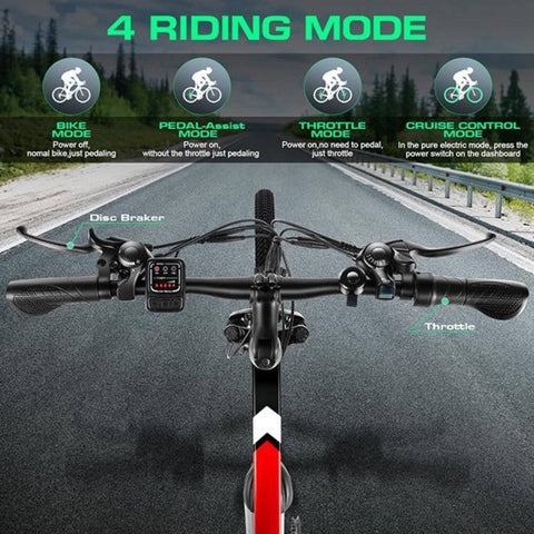 New 500W Electric Bike