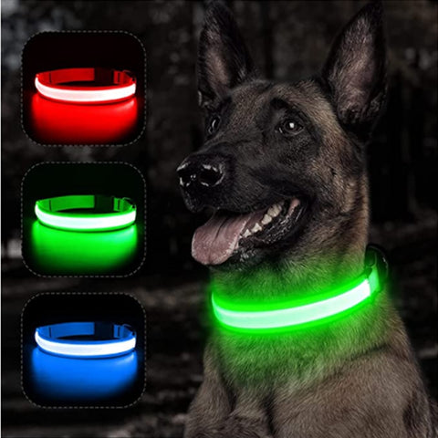 New LED Glowing Dog Collar