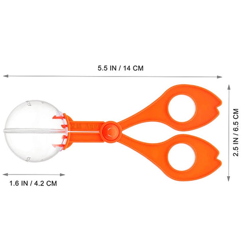 Children Fine Motor Skills Learning Counting Toys