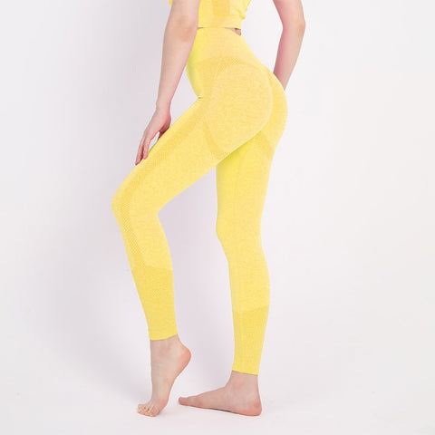 Women Fitness Seamless Workout Leggings