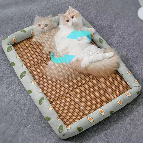 New Summer Cat Bed