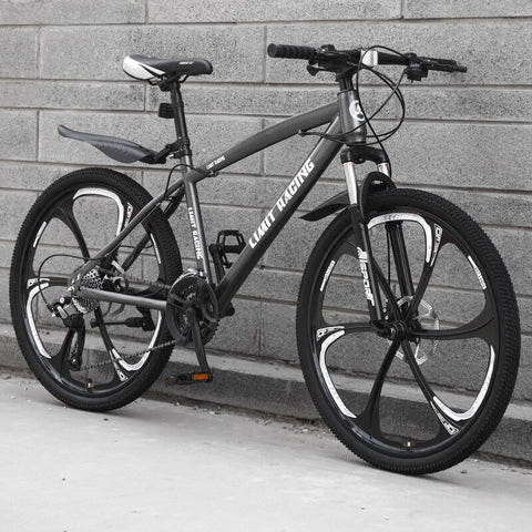 Outdoor Off-road Integrated Wheel  Carbon Steel Bicycle