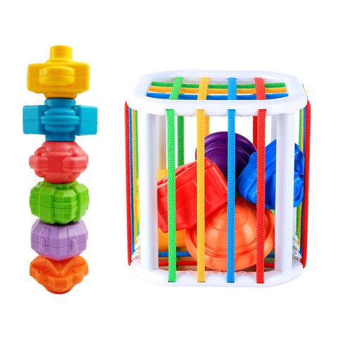 Baby Montessori Learning Educational Toys