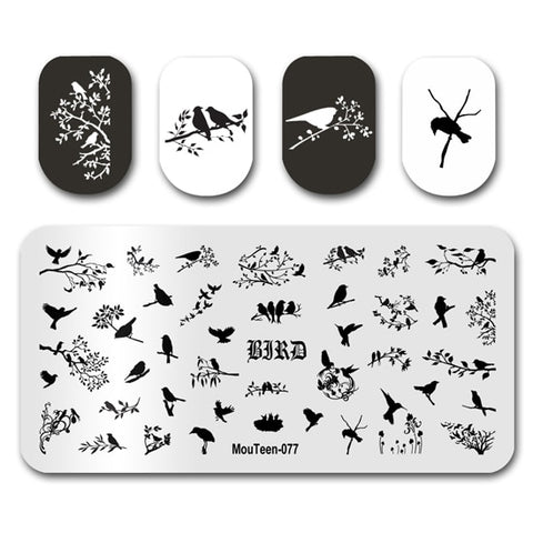 New Nail Plates Stamp King Manicure Set
