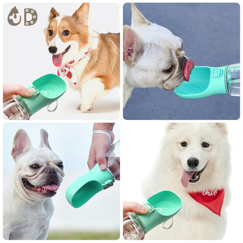 New Portable Dog Water Bottle