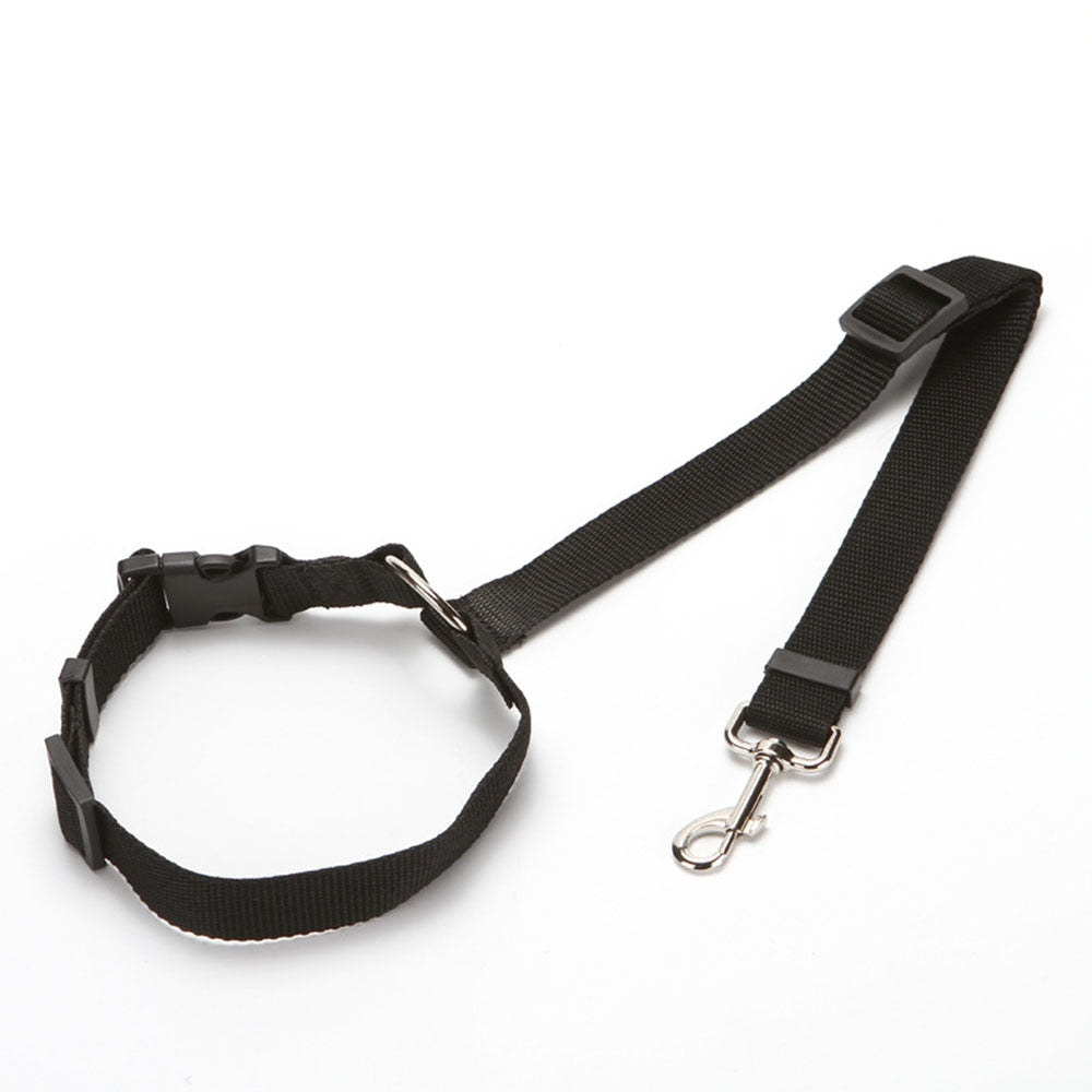 Two-in-one Nylon Adjustable Dogs Harness