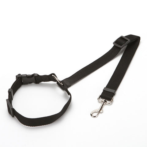 Two-in-one Nylon Adjustable Dogs Harness