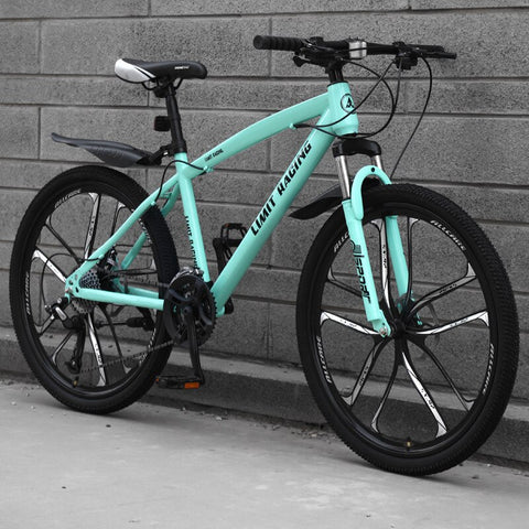 Outdoor Off-road Integrated Wheel  Carbon Steel Bicycle