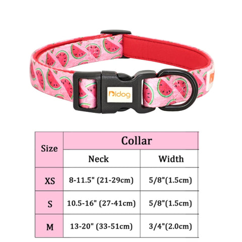 New Dog Adjustable Puppy Collar