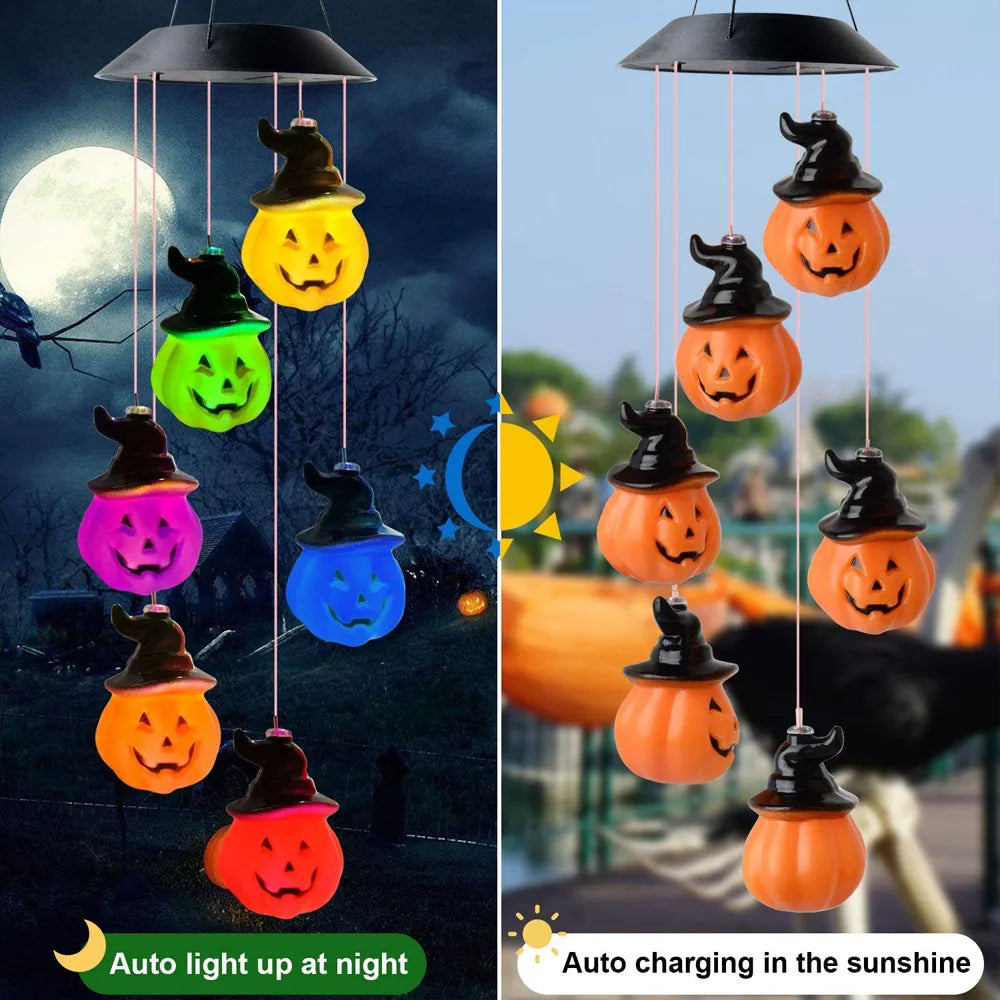 44360455651554