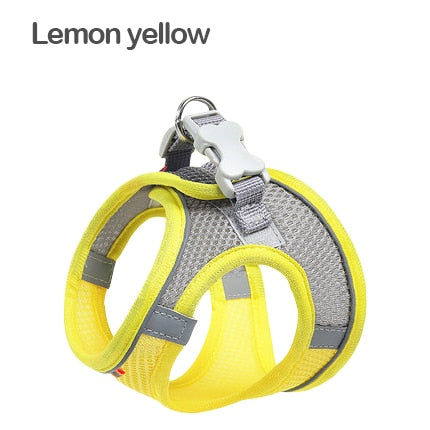 New Harness Vest Chest Rope Set