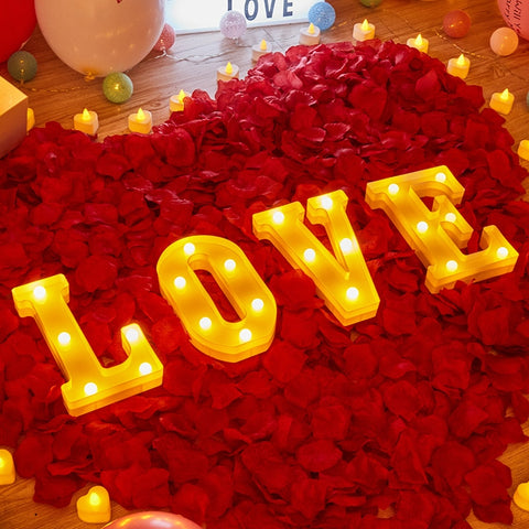 New Alphabet Letter LED Lights