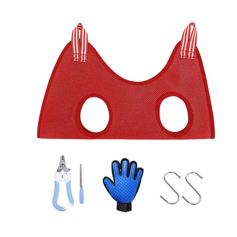New Cat Grooming nail cutting