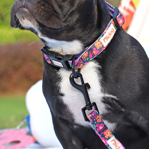 New Dog Adjustable Puppy Collar