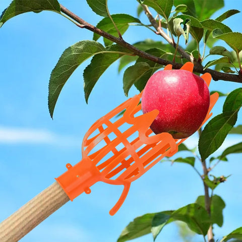 New Plastic Fruit Picking Tool