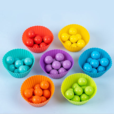 New Wooden Montessori Toys