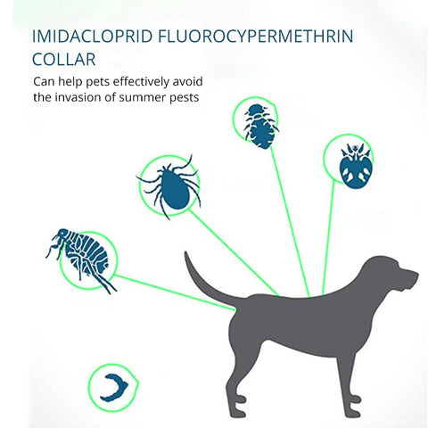 New Pet Anti Flea Collar