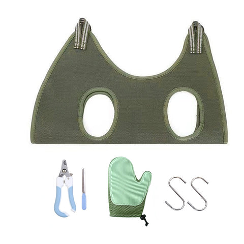 New Cat Grooming nail cutting