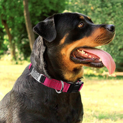 New Adjustable Reflective Nylon Dog Collars