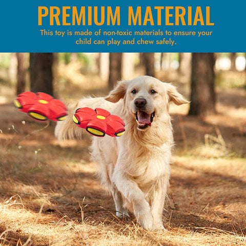 2023 New Pet Magic Flying Saucer Ball Toys