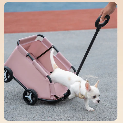 Lightweight Folding Pet Trolley Dog Car Pet Stroller