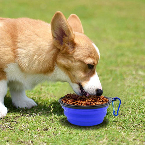 Dog Silicone Foldable Bowl