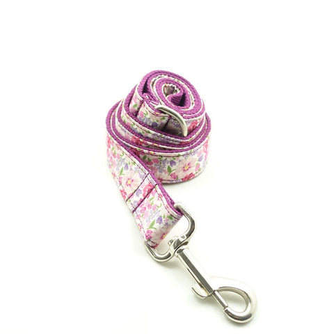 Dog Custom ID Tag Collar