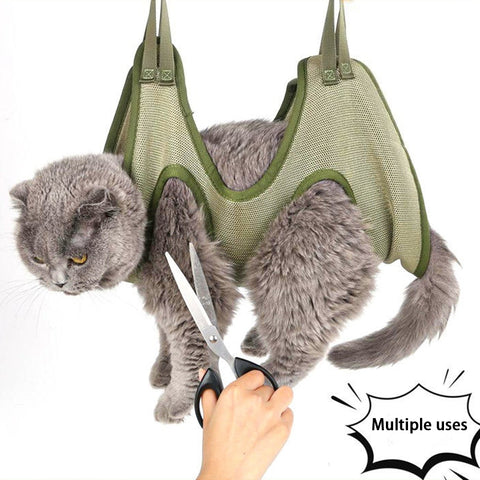 New Cat Grooming nail cutting