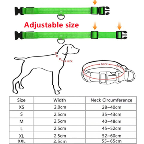 New LED Glowing Dog Collar
