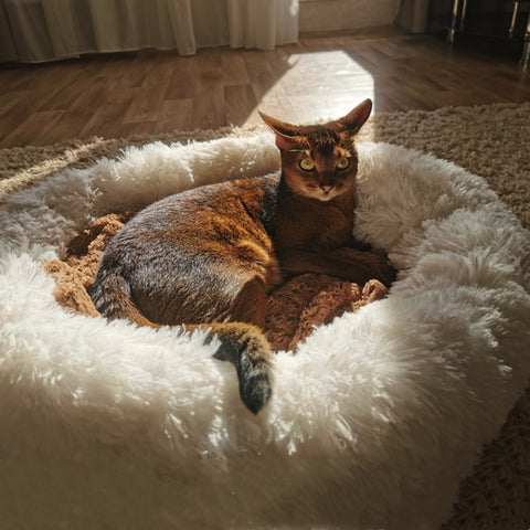 New Super Soft Dog Bed