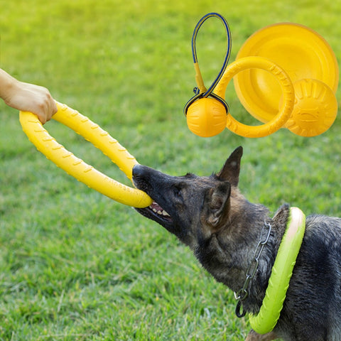 Dog Flying Disc & Ring Puller Toys