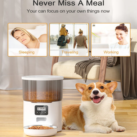 New 4L Pet Feeder