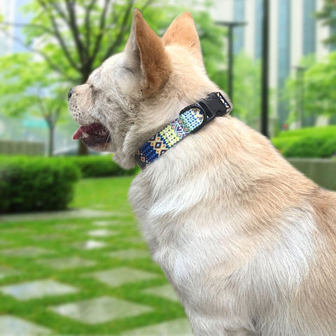 New Dog Adjustable Puppy Collar