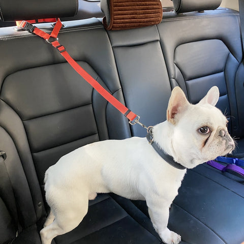 Two-in-one Nylon Adjustable Dogs Harness