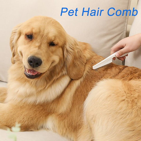 Dog Grooming Flea Comb