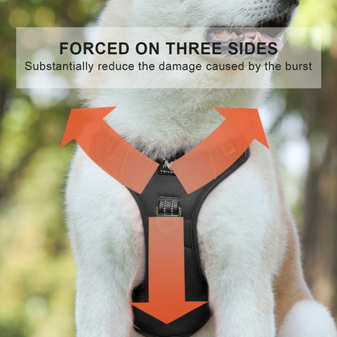 Dog Pet Adjustable harness