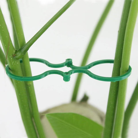Garden Plant Support Clips