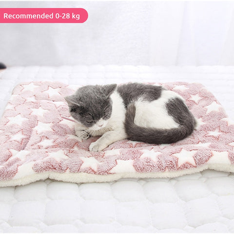 Dog Cat Soft Cushion Blanket