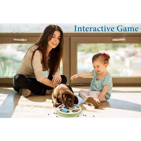 Dog Slow Feeding Puzzle Toy