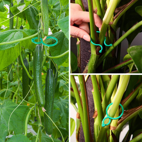 Garden Plant Support Clips