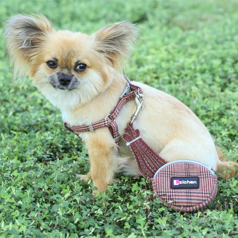 Dog Harness and Leash Set