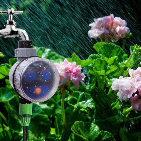 Garden Water Timer Ball