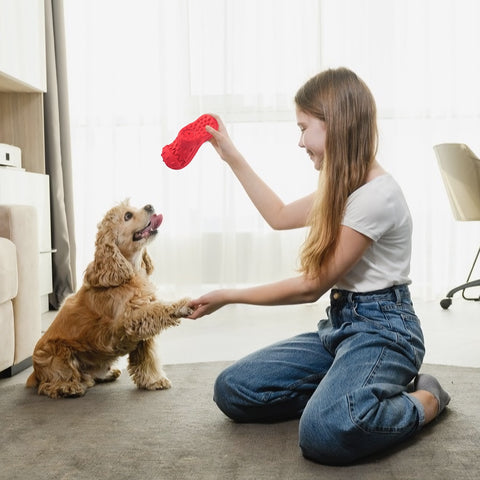 Dog Rubber Dumbbells' Chewing Toys