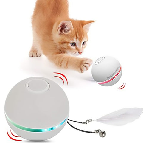 PET LED Self Rotating Ball Toy