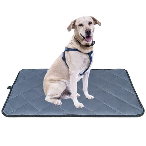 All season Bite Resistant Dog Mat